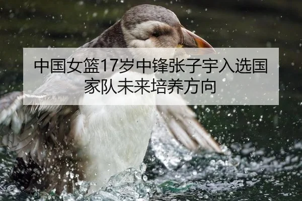 中国女篮17岁中锋张子宇入选国家队未来培养方向